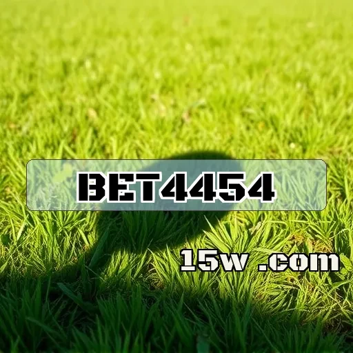bet4454.com: Descubra o Pôquer Mais Empolgante do Brasil